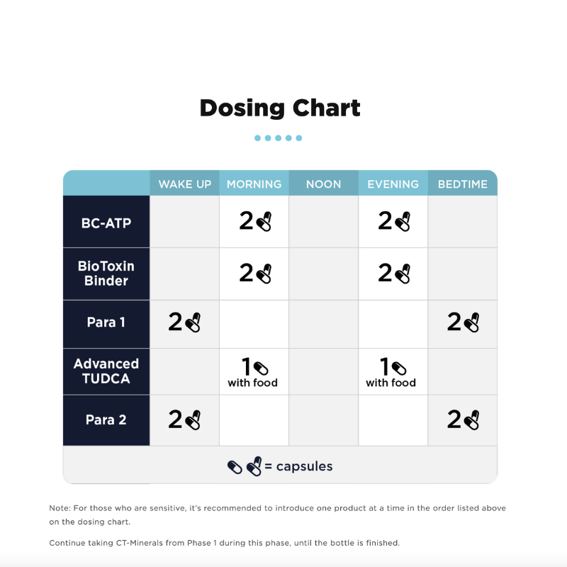 Phase 2 Gut & Immune Support