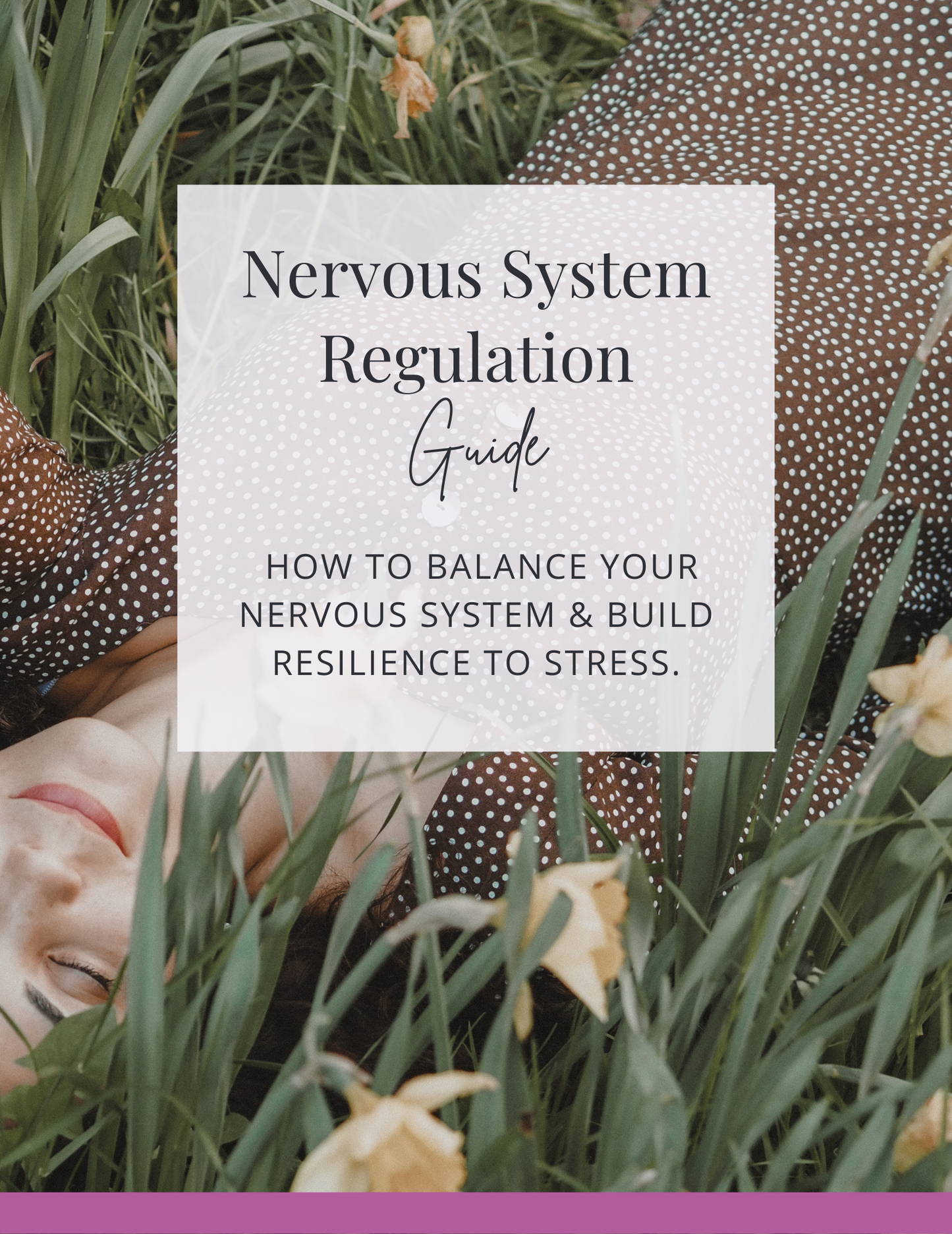 Nervous System Regulation Digital Guide