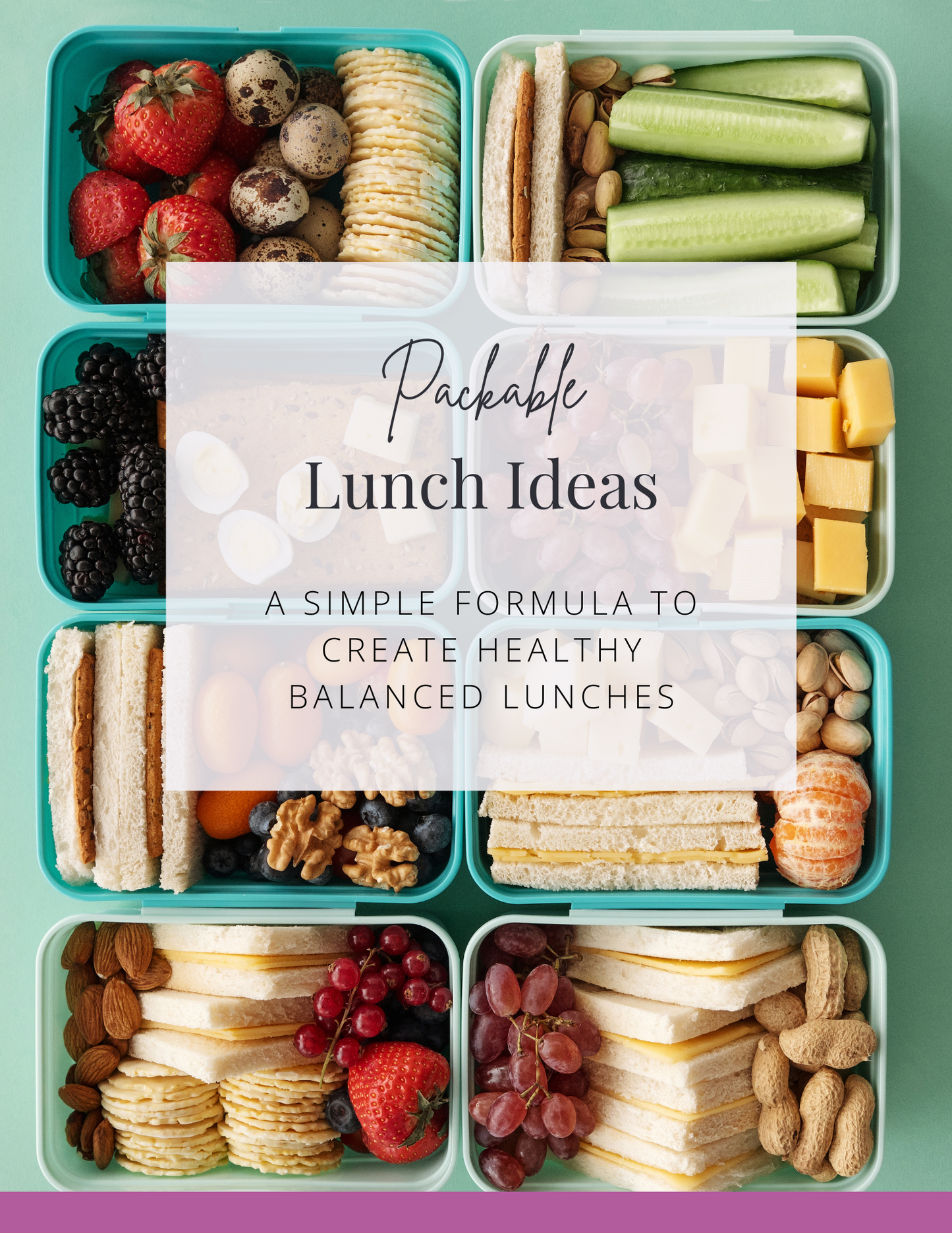 Packable Lunches Ideas